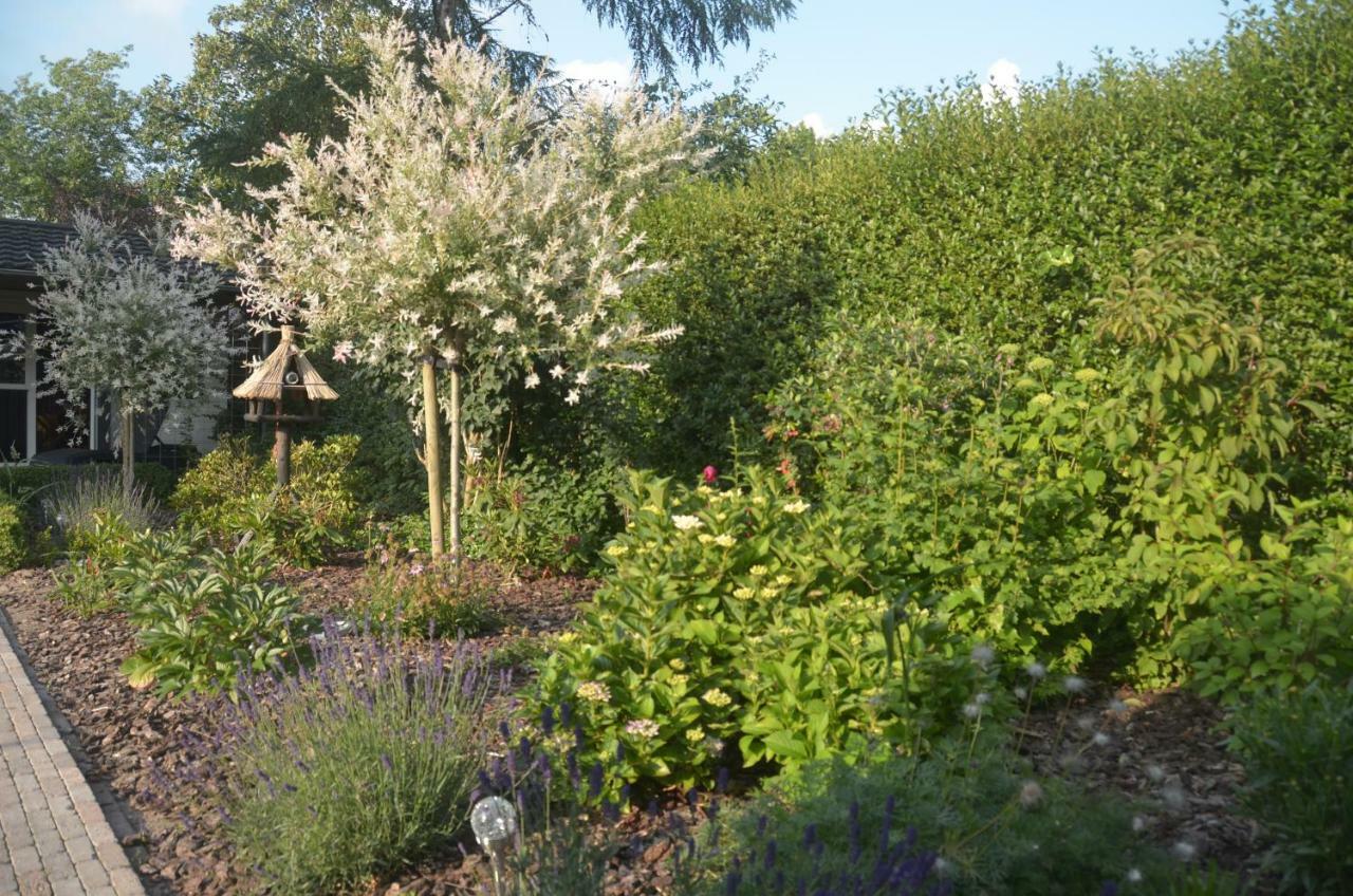Bed&Breakfast Hattem Kültér fotó